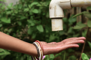 Global water crisis deepening due to climate change, rising population and urbanisation: World Bank