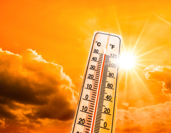 Extreme heatwave in India mostly exacerbated by human-driven climate change: Report