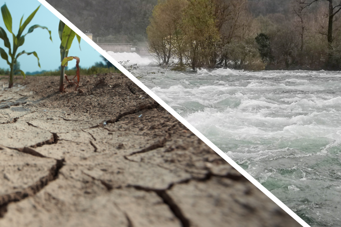 Despite 2% above normal rain so far, 36% districts remain rain deficient across India 