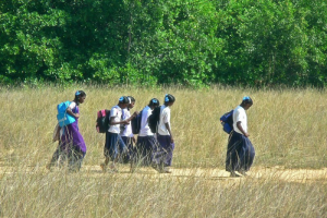 Hottest February shatters record, India gears up for intense heatwaves ahead