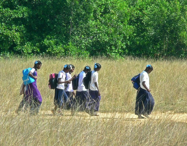 Hottest February shatters record, India gears up for intense heatwaves ahead