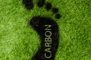 Carbon border rules discriminatory, protectionist: India to WTO