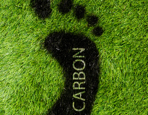 Carbon border rules discriminatory, protectionist: India to WTO
