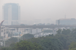 Green court to Haryana: Why should inaction not be treated as collusion with polluters?