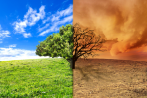 Climate-change-induced alterations in weather resulting in warmer winters