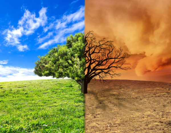 Climate-change-induced alterations in weather resulting in warmer winters