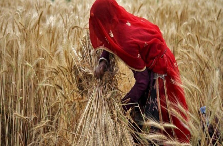 India bans wheat export after heatwave depletes yield