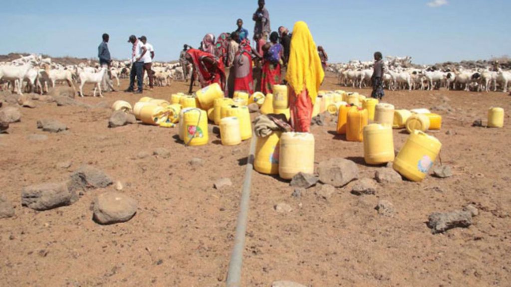 40% chance that global temp will hit 1.5°C tipping point in next 5 years: WMO climate update