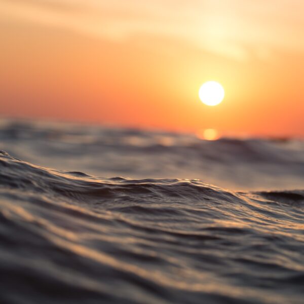 Marine heatwaves over Indian Ocean leading to drop in monsoon rain over central India, says research paper