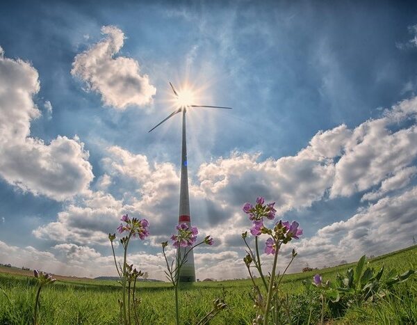 India hits 50% clean power capacity, but generation still lags