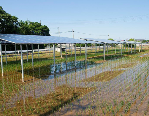 Can agrivoltaics solve India’s rising need for land resources?